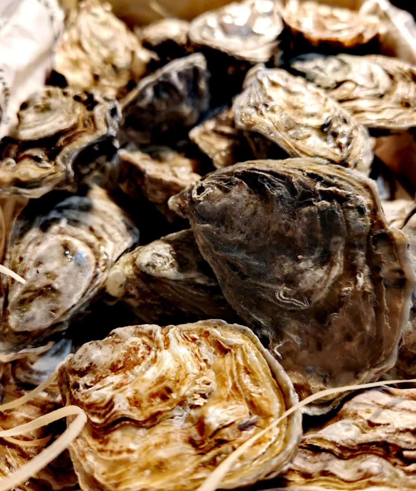Huîtres fraîches de nos côtes